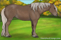 Horse Color:Silver Black 
