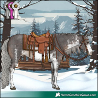 Horse Color:White Spotted Silver Brown Sabino