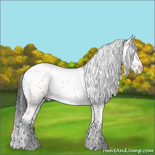 Horse Color:Bay Dun Splash Tobiano 