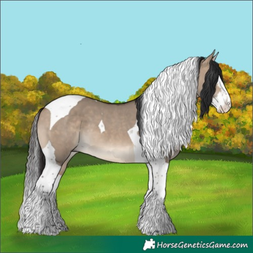 Horse Color:Brown Dun Splash Tobiano