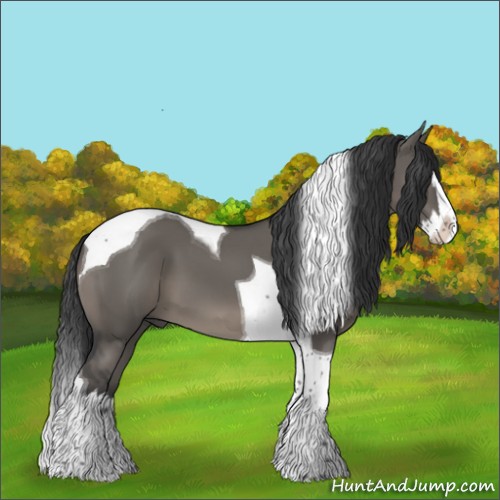 Horse Color:Grullo Splash Tobiano 
