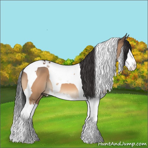 Horse Color:Bay Dun Splash Tobiano 