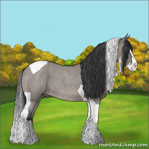 Horse Color:Grullo Roan Splash Tobiano 