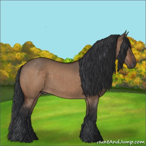 Horse Color:Brown Dun Rabicano 