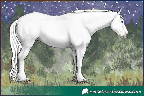 Horse Color:Gray Classic Champagne Tobiano 