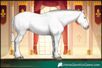 Horse Color:Gray Gold Champagne Tobiano 