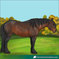Horse Color:Brown 