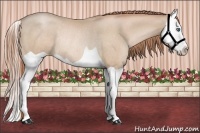 Horse Color:Smoky Black Pearl Splash Rabicano 