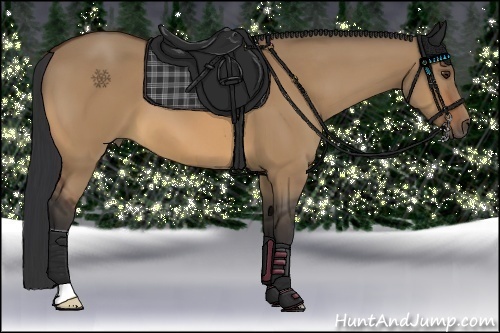 Horse Color:Bay Dun