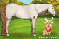 Horse Color:Smoky Grullo Pearl Splash Rabicano 