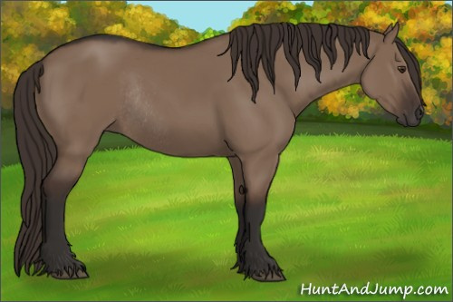 Horse Color:Liver Red Dun Rabicano