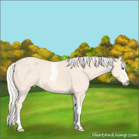 Horse Color:Cremello Splash Tobiano 
