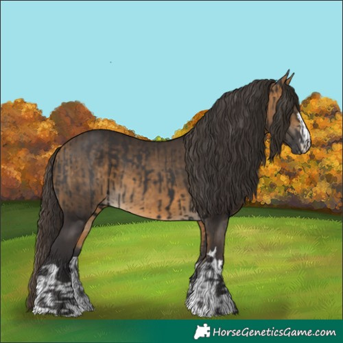 Horse Color:Smoky Black and Buckskin
