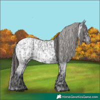 Horse Color:Smoky Blue Roan  and Smoky Blue Roan Near Leopard 