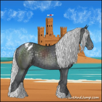 Horse Color:Silver Black Chinchilla Blanket 