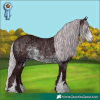 Horse Color:Chocolate Silver Smoky Black Chinchilla Ice Sabino 