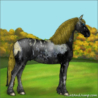 Horse Color:ERROR: UNKNOWN ANOMALY