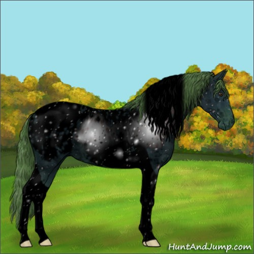 Horse Color:ERROR: UNKNOWN ANOMALY