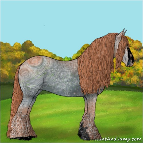 Horse Color:ERROR: UNKNOWN ANOMALY