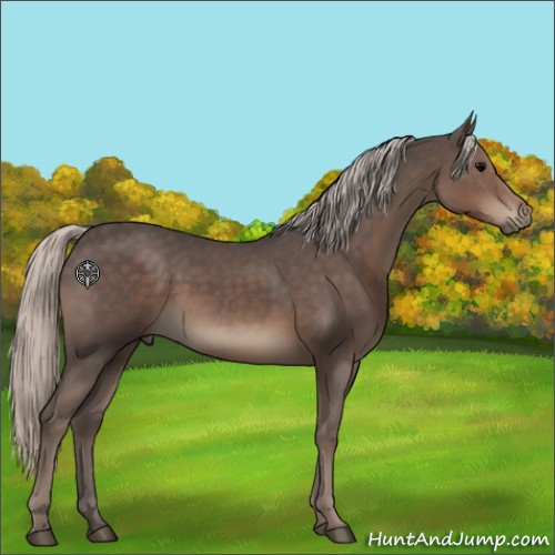 Horse Color:Silver Black 