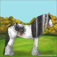 Horse Color:White Spotted Brown Snowflake Varnish