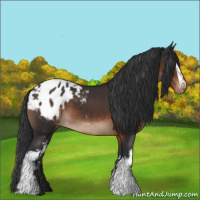 Horse Color:White Spotted Brown Varnish 