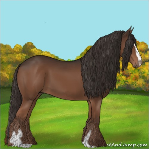 Horse Color:Liver Chestnut Sabino 