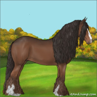 Horse Color:Liver Chestnut Sabino