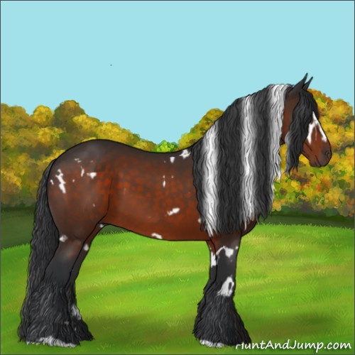 Horse Color:White Spotted Brown Sabino