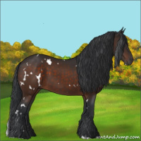 Horse Color:White Spotted Brown 