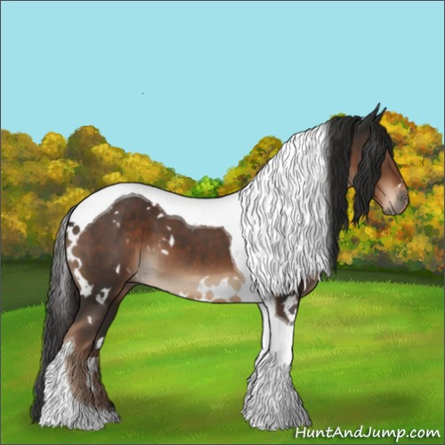 Horse Color:White Spotted Liver Chestnut Tobiano 