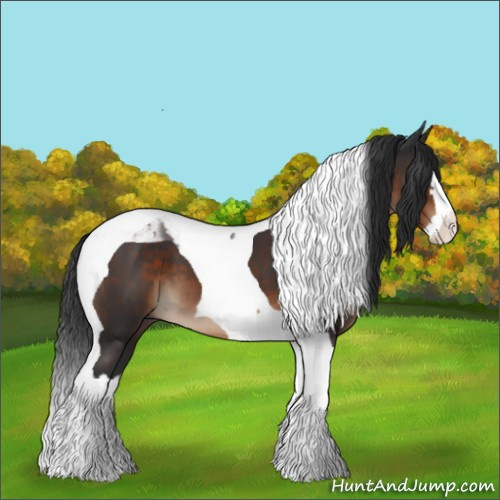 Horse Color:Brown Sabino Splash Tobiano