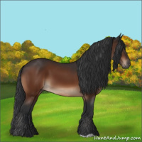 Horse Color:Brown 