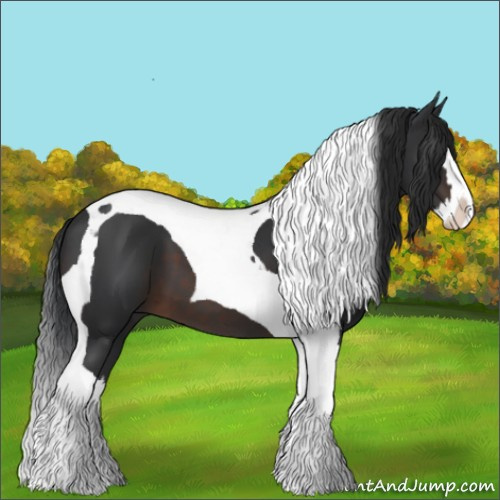 Horse Color:Brown Splash Tobiano