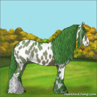 Horse Color:Watercolor Brown Appaloosa 