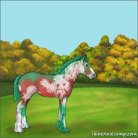 Horse Color:Gray Watercolor Brown Ice
