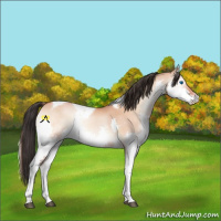 Horse Color:Bay Onyx Splash Tobiano Rabicano