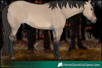 Horse Color:Brown Dun 