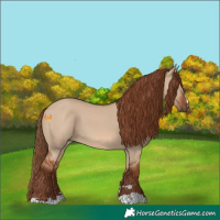 Horse Color:Red Dun 