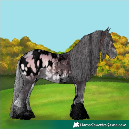 Horse Color:Void Watercolor Silver Brown Onyx Tobiano Appaloosa 