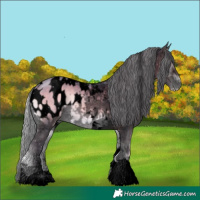 Horse Color:Void Watercolor Silver Brown Onyx Tobiano Appaloosa 