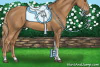 Horse Color:Chestnut Tobiano Rabicano