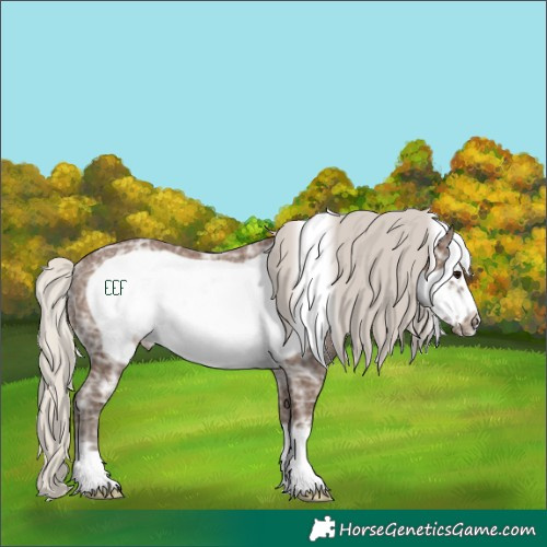 Horse Color:Silver Black Ice Frame Rabicano 