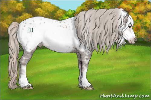 Horse Color:Silver Black Ice Frame Near Leopard Rabicano