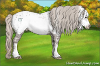 Horse Color:Silver Black Ice Frame Appaloosa Rabicano 