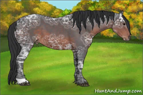 Horse Color:Brown Ice 