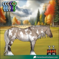 Horse Color:White Spotted Silver Brown Dun 