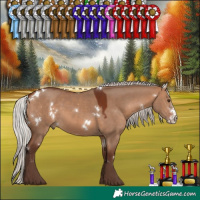 Horse Color:White Spotted Silver Brown Dun Sabino 