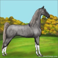 Horse Color:Gray Silver Blue Roan Tobiano 