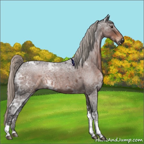 Horse Color:Gray Silver Brown Ice Roan Tobiano